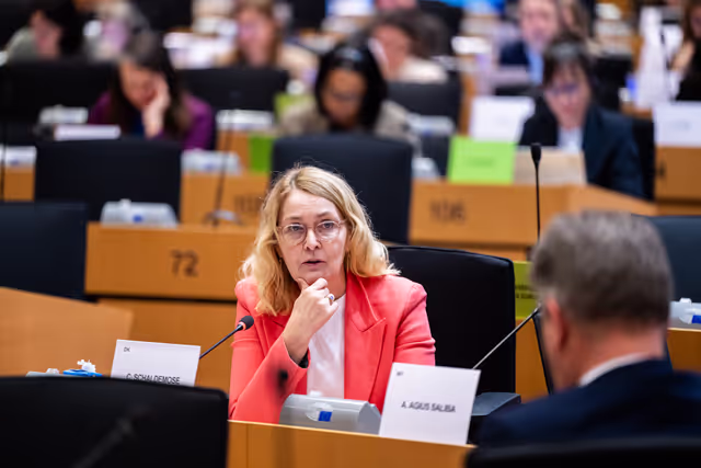 Nuotrauka 12: IMCO - Illegal and unsafe products online: SHEIN under the EU spotlight