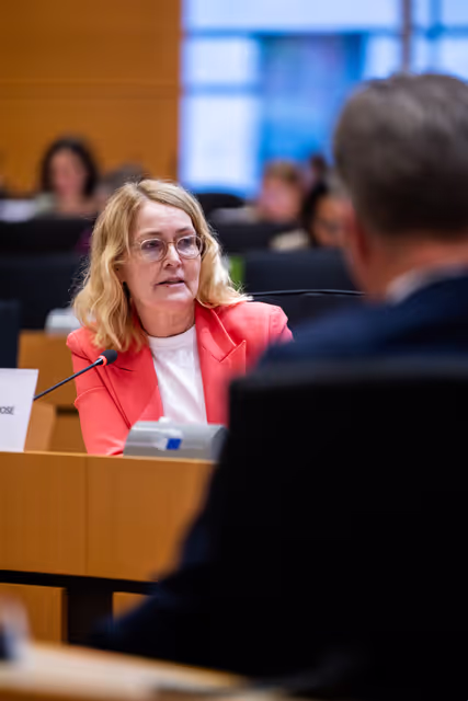 Nuotrauka 13: IMCO - Illegal and unsafe products online: SHEIN under the EU spotlight