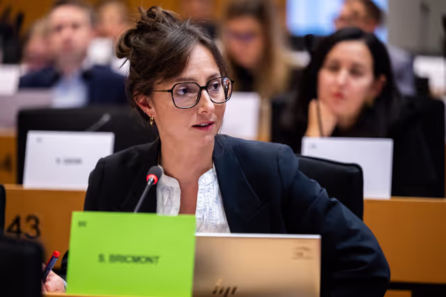 Nuotrauka 8: IMCO - Illegal and unsafe products online: SHEIN under the EU spotlight