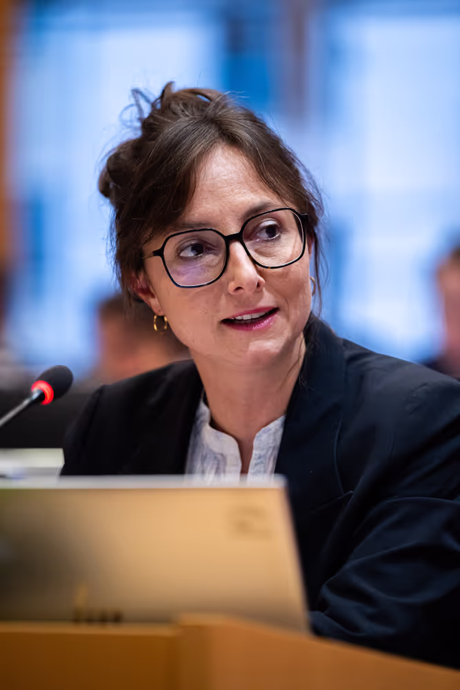 IMCO - Illegal and unsafe products online: SHEIN under the EU spotlight