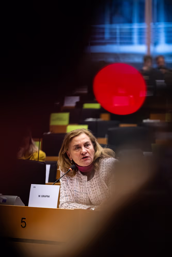 IMCO - Illegal and unsafe products online: SHEIN under the EU spotlight