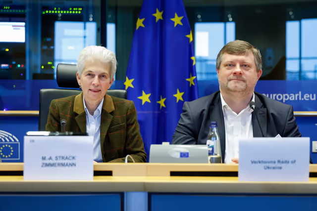 Foto 33: SEDE - Ukraine-NATO Interparliamentary Council (UNIC)