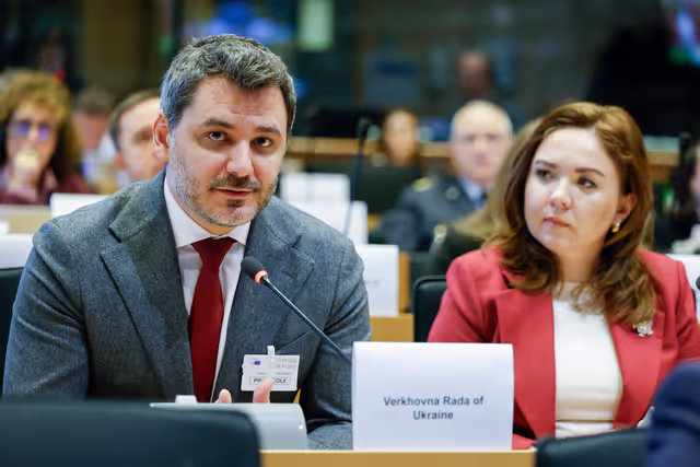 Foto 19: SEDE - Ukraine-NATO Interparliamentary Council (UNIC)