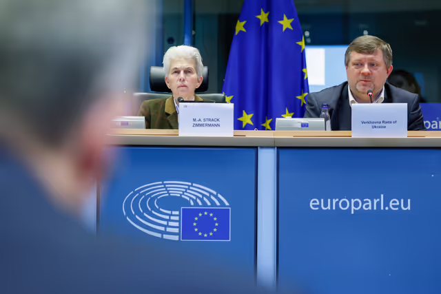 Foto 22: SEDE - Ukraine-NATO Interparliamentary Council (UNIC)