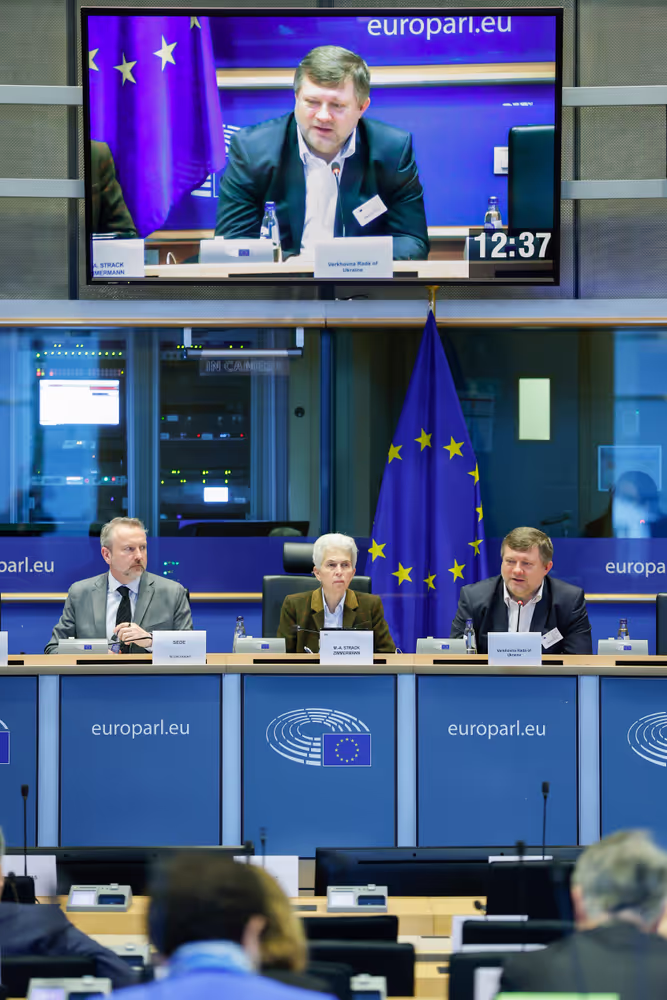 SEDE - Ukraine-NATO Interparliamentary Council (UNIC)