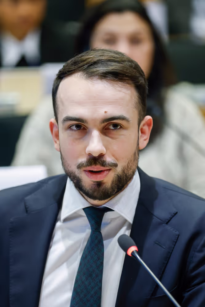 SEDE - Ukraine-NATO Interparliamentary Council (UNIC)