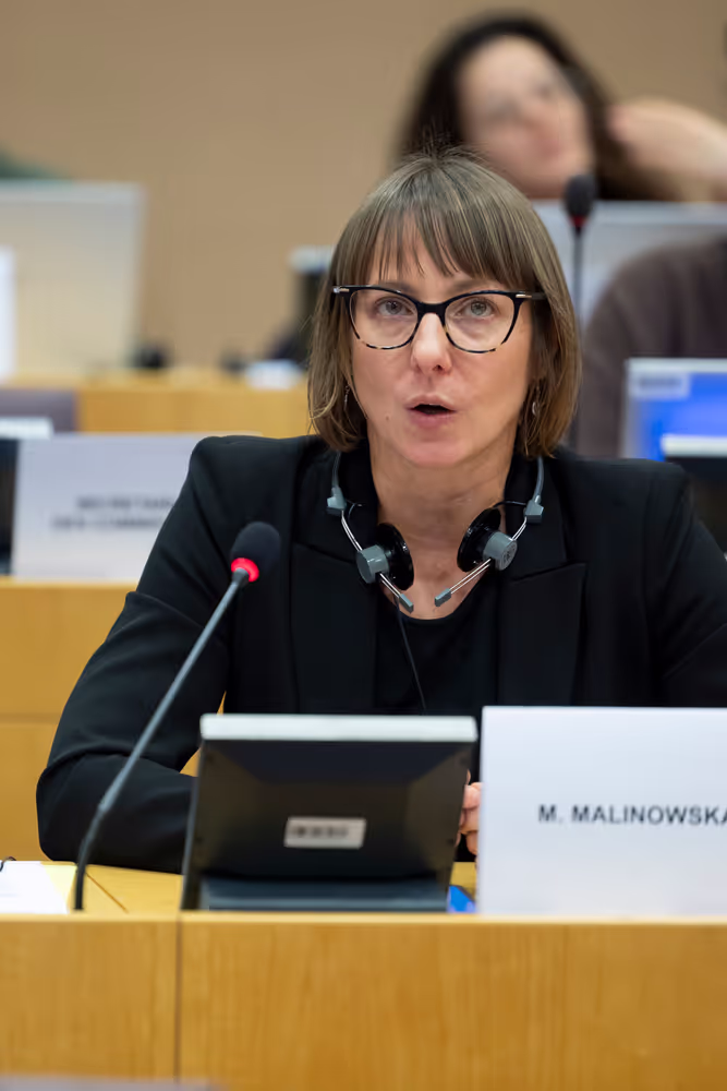 EMPL - Hearing on Working conditions in Amazon warehouses