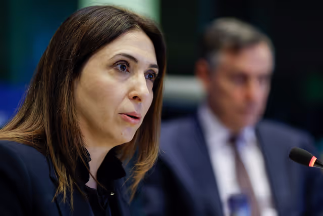 Billede 2: AFET - Presentation of the priorities of the Cyprus Presidency of the Council