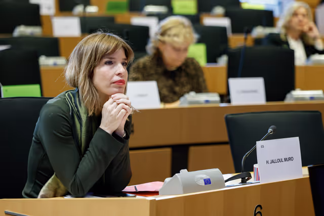 Billede 8: AFET - Presentation of the priorities of the Cyprus Presidency of the Council