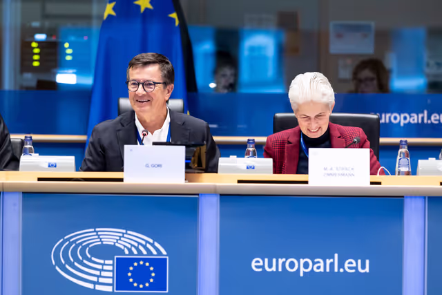 Foto 22: ITRE SEDE - Joint Public Hearing on Cyber-defence and Cybersecurity