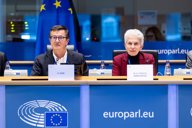 ITRE SEDE - Joint Public Hearing on Cyber-defence and Cybersecurity