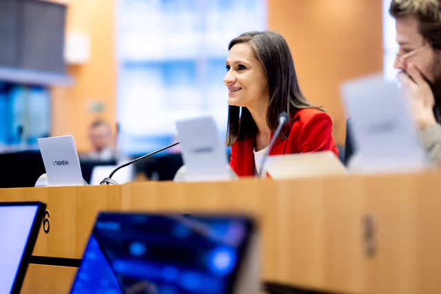 Foto 15: ITRE SEDE - Joint Public Hearing on Cyber-defence and Cybersecurity