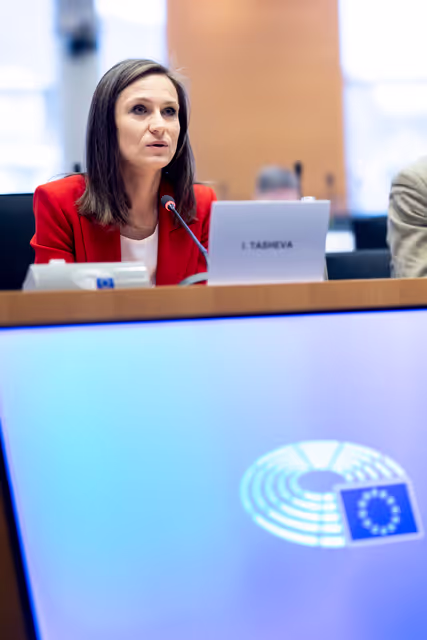 Foto 14: ITRE SEDE - Joint Public Hearing on Cyber-defence and Cybersecurity