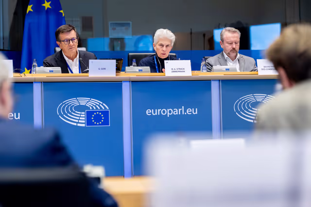 Foto 7: ITRE SEDE - Joint Public Hearing on Cyber-defence and Cybersecurity