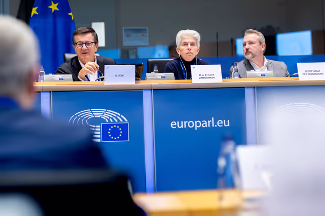 Foto 5: ITRE SEDE - Joint Public Hearing on Cyber-defence and Cybersecurity