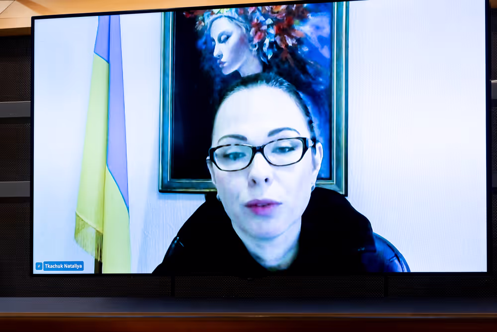 ITRE SEDE - Joint Public Hearing on Cyber-defence and Cybersecurity