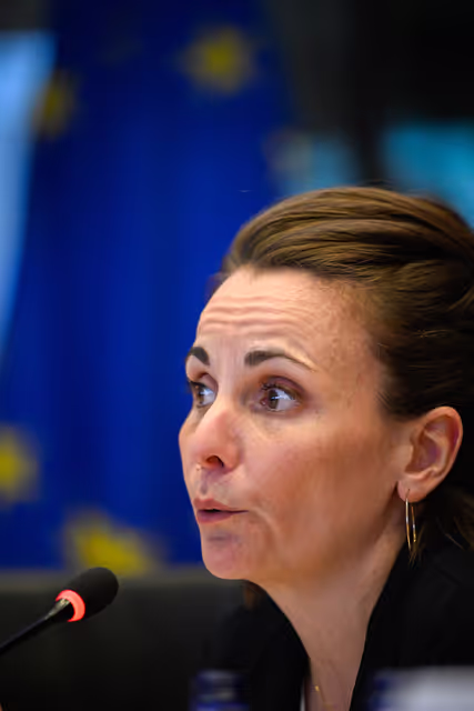 Zdjęcie 17: SANT - Marking the World Cancer Day 2026: Exchange of views with experts on fighting cancer in Europe