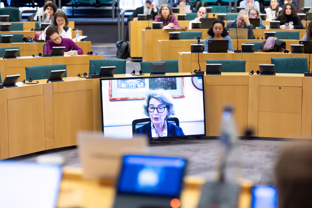 Photo 20: STOA workshop - Humanities and social sciences at the heart of Europe’s future: Interdisciplinary approaches to global challenges
