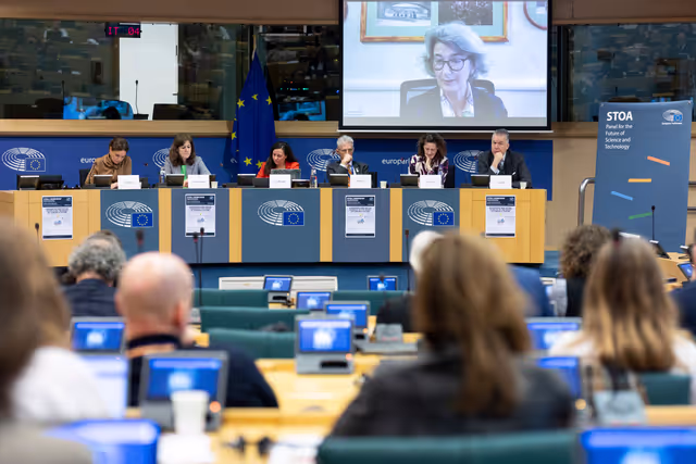 STOA workshop - Humanities and social sciences at the heart of Europe’s future: Interdisciplinary approaches to global challenges