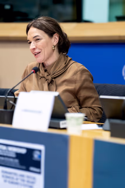 Photo 11: STOA workshop - Humanities and social sciences at the heart of Europe’s future: Interdisciplinary approaches to global challenges