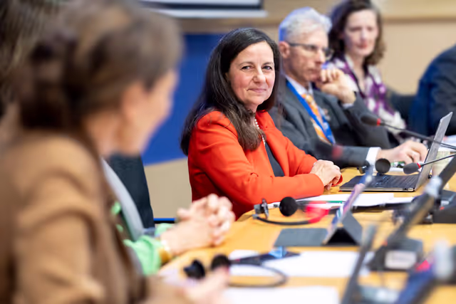 Photo 9: STOA workshop - Humanities and social sciences at the heart of Europe’s future: Interdisciplinary approaches to global challenges
