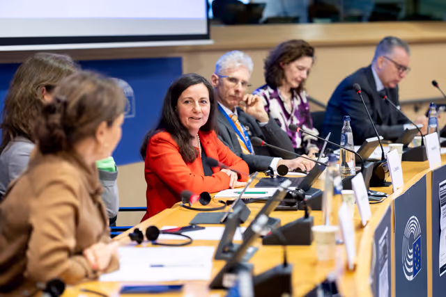 Photo 7: STOA workshop - Humanities and social sciences at the heart of Europe’s future: Interdisciplinary approaches to global challenges