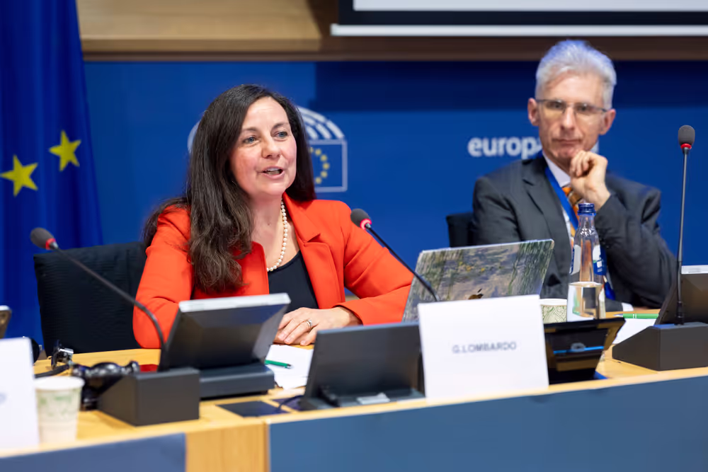 STOA workshop - Humanities and social sciences at the heart of Europe’s future: Interdisciplinary approaches to global challenges