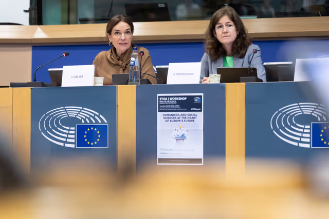 Photo 31: STOA workshop - Humanities and social sciences at the heart of Europe’s future: Interdisciplinary approaches to global challenges