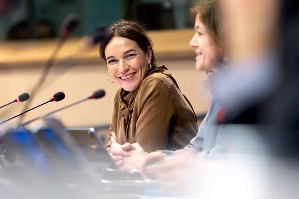 STOA workshop - Humanities and social sciences at the heart of Europe’s future: Interdisciplinary approaches to global challenges