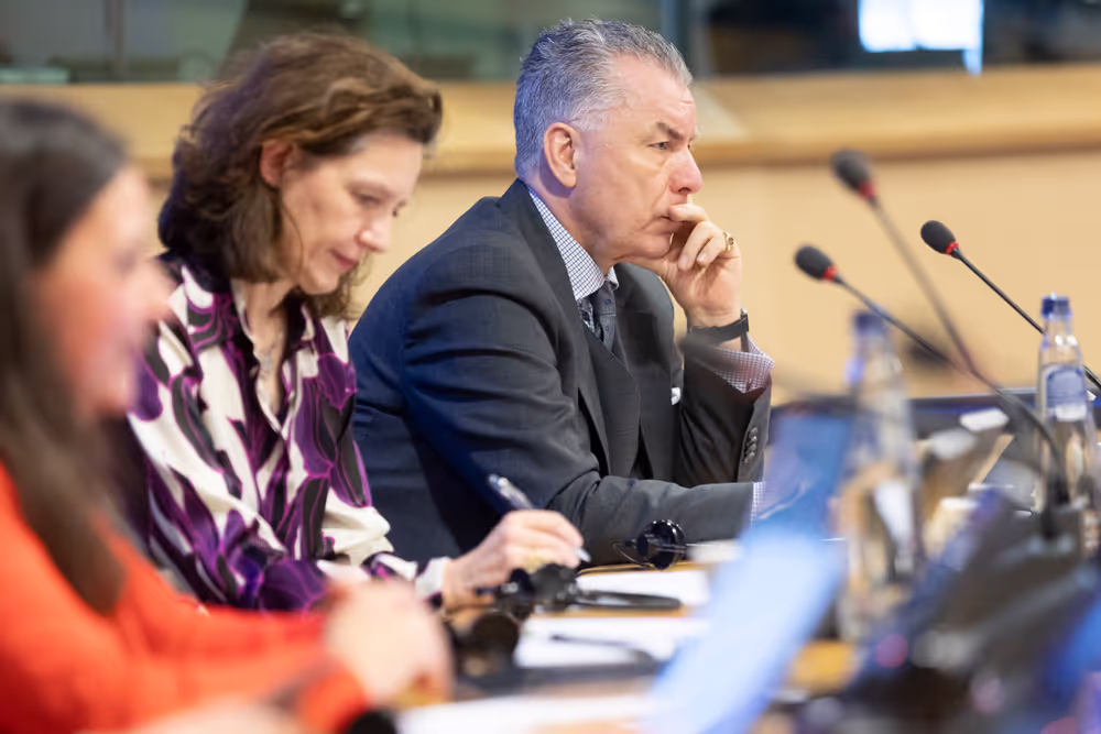 STOA workshop - Humanities and social sciences at the heart of Europe’s future: Interdisciplinary approaches to global challenges