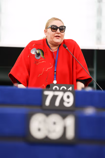 EP Plenary Session - European Central Bank – annual report 2025