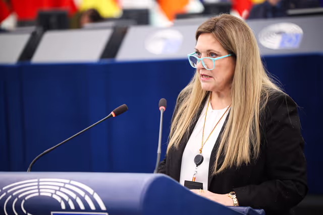 EP Plenary Session - Amending Regulations on agricultural products as regards market rules and sectoral support measures in the wine sector and for aromatised wine products