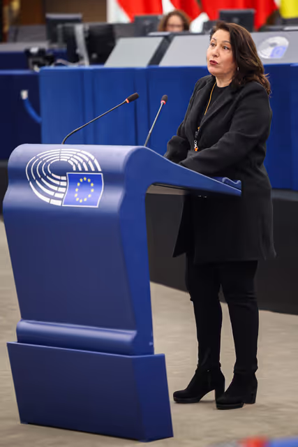 EP Plenary Session - Amending Regulations on agricultural products as regards market rules and sectoral support measures in the wine sector and for aromatised wine products