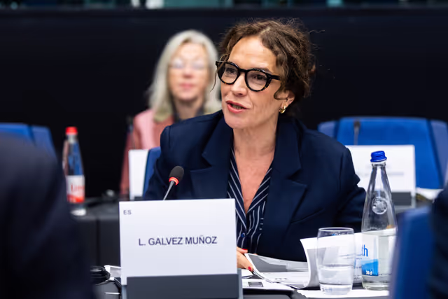 Foto 3: Conference of Committee Chair