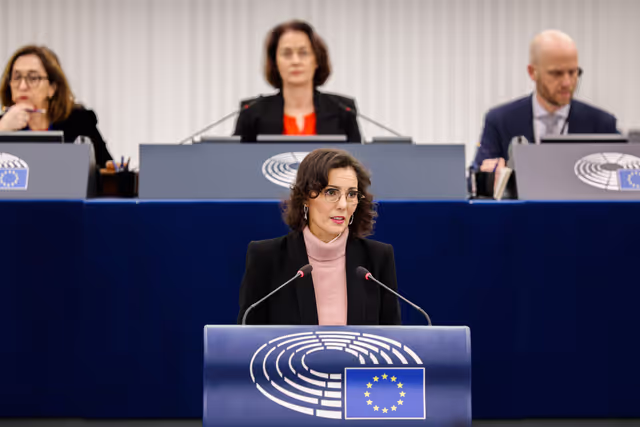 EP Plenary Session - Extreme weather events in particular in Portugal, southern Italy, Malta and Greece: European response in strengthening readiness, preparedness and solidarity mechanisms