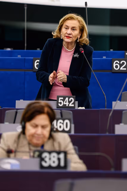 EP Plenary Session - Extreme weather events in particular in Portugal, southern Italy, Malta and Greece: European response in strengthening readiness, preparedness and solidarity mechanisms