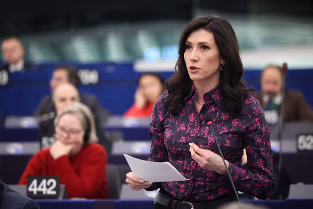 EP Plenary Session - Voting session