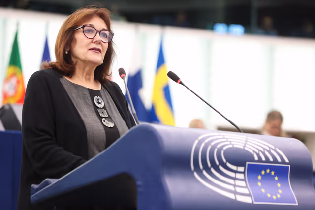 EP Plenary Session - Situation in Northeast Syria, the violence against civilians and the need to maintain a sustainable ceasefire