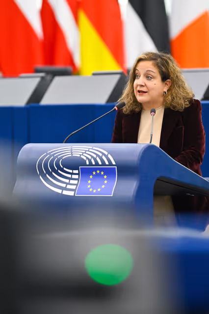 Fotogrāfija 35: EP Plenary Session - Spain’s large-scale regularisation policy and its impact on the Schengen Area and EU migration policy