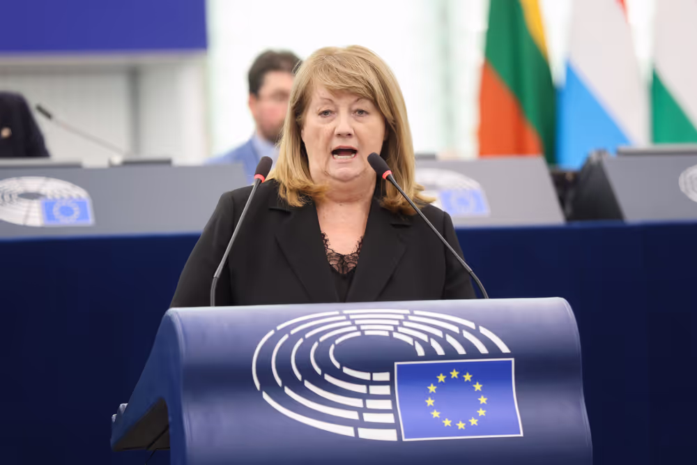 EP Plenary Session - European response to the attacks on the Ukrainian energy system causing a humanitarian crisis