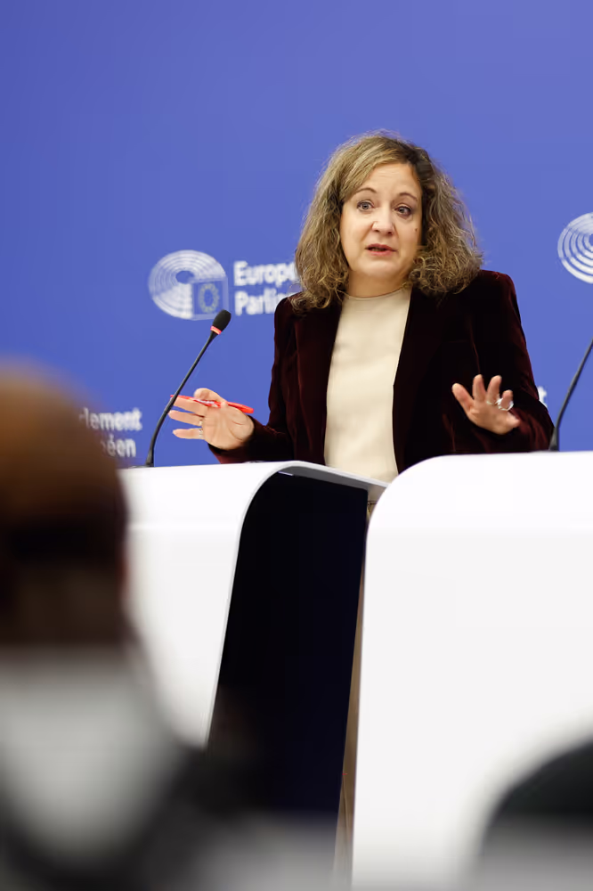 Press briefing S&D Group