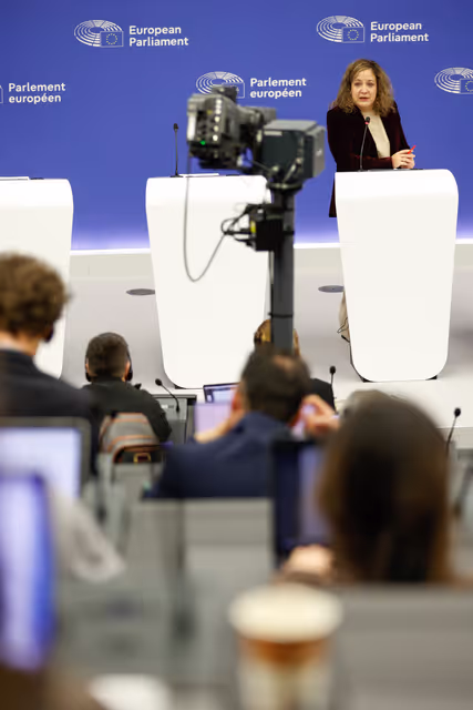 Fotó 5: Press briefing S&D Group