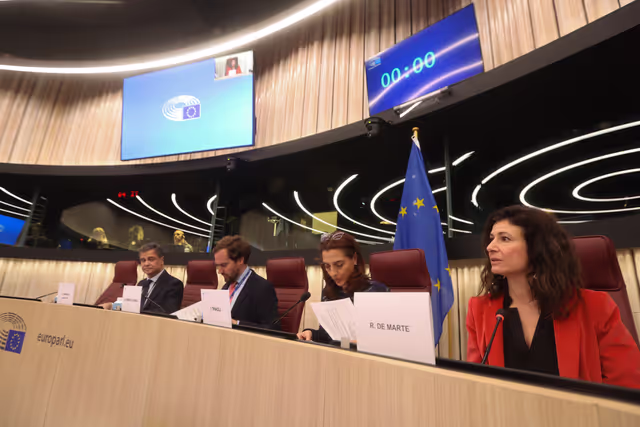 Fotografia 20: Joint Briefing for Media and Content Creators - Housing jigsaw in Europe: where does the European Parliament stand?