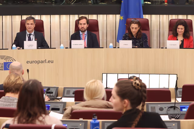 Fotografia 15: Joint Briefing for Media and Content Creators - Housing jigsaw in Europe: where does the European Parliament stand?