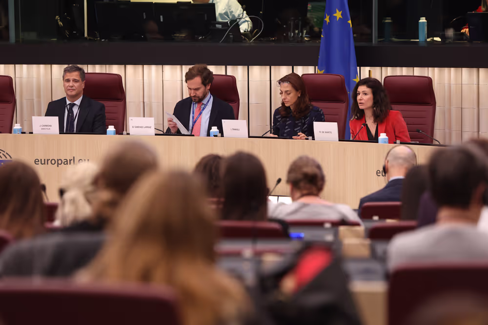 Joint Briefing for Media and Content Creators - Housing jigsaw in Europe: where does the European Parliament stand?