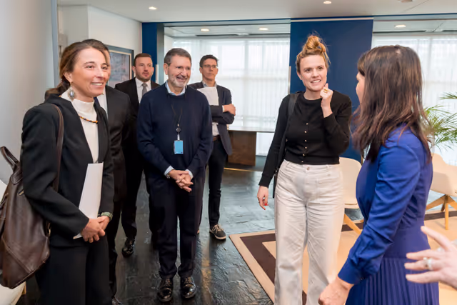 Leaders of the Green Group meet with Annalena BAERBOCK, President of the UN General Assembly