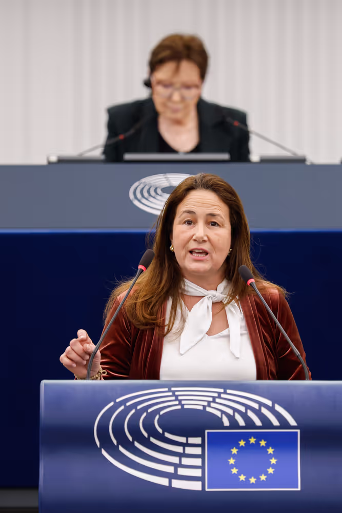 EP Plenary Session - Developing a new EU anti-poverty strategy