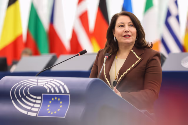 EP Plenary Session - Cooperation among enforcement authorities regarding unfair trading practices in the agri-food supply chain