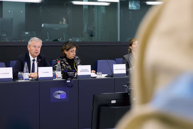 Billede 23: Delegation for relations with the Arab Peninsula (DARP) meeting