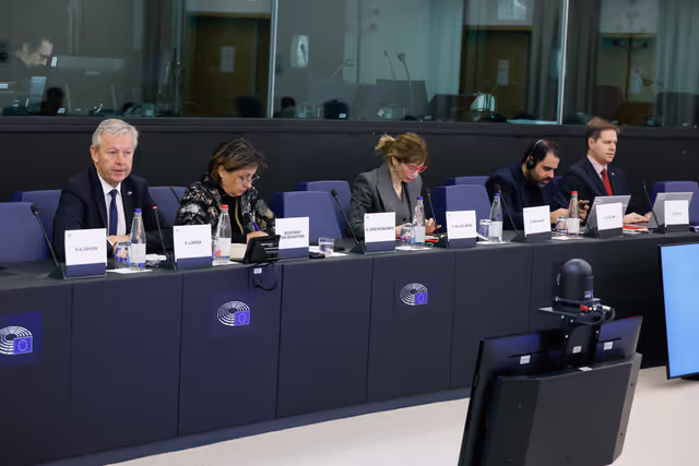 Delegation for relations with the Arab Peninsula (DARP) meeting